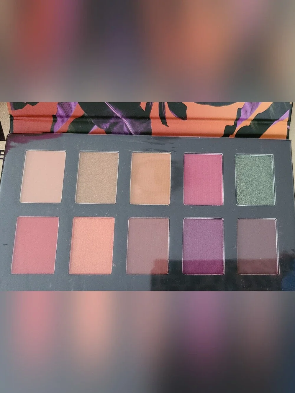 NYX 7 PC SET♤10 pan Eyeshadow Palette & 6 Butter Glosses.